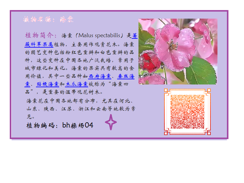 婁澤惠.png