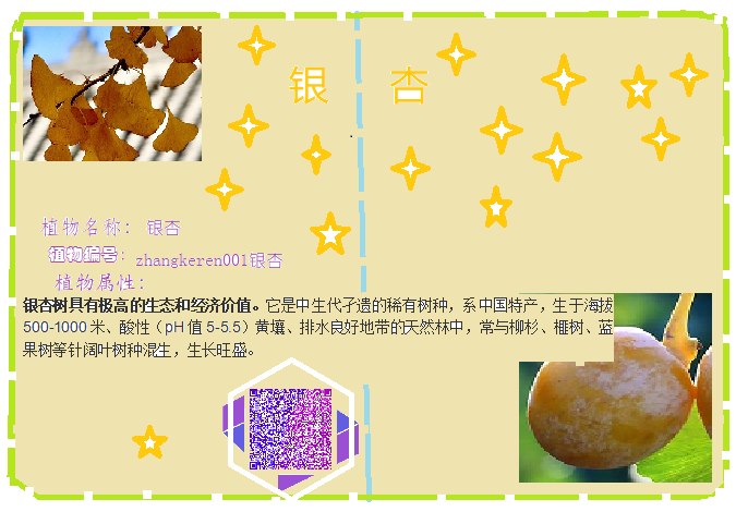 張可(kě)人(rén).bmp