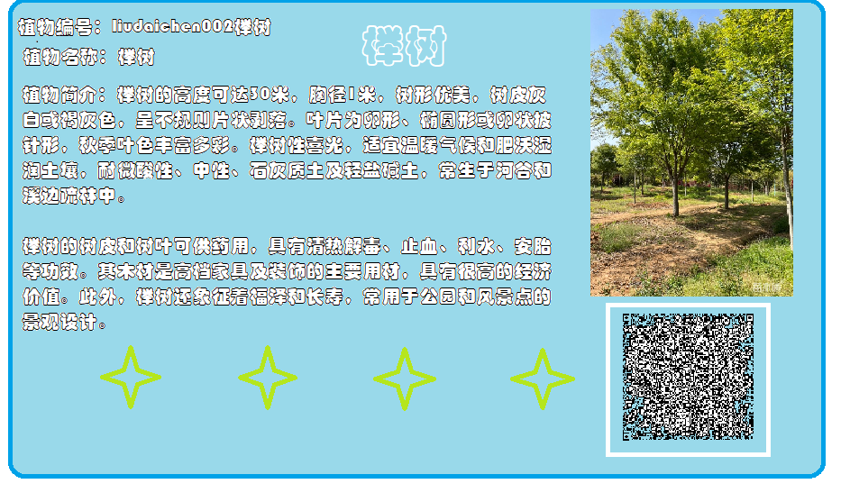 劉戴辰.png